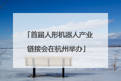 首届人形机器人产业链接会在杭州举办